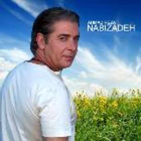 احمدرضا نبی زاده هیزم نیمه نیمه